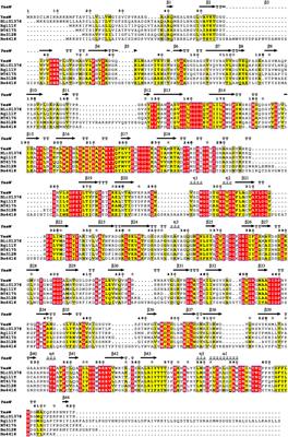 Biochemical Characterization of Two Rhamnogalacturonan Lyases From Bacteroides ovatus ATCC 8483 With Preference for RG-I Substrates